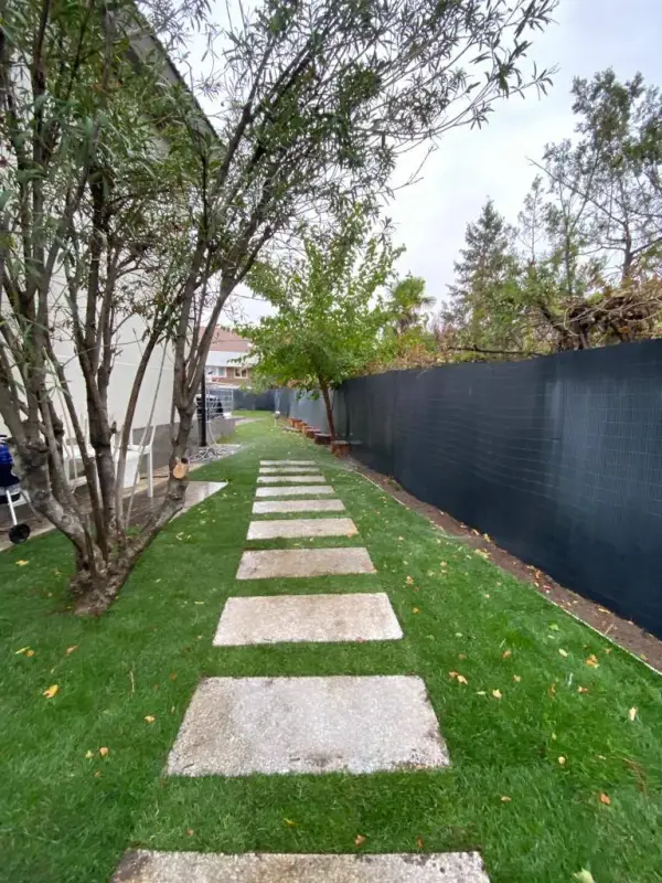 Césped natural recién cortado en jardín residencial de Madrid