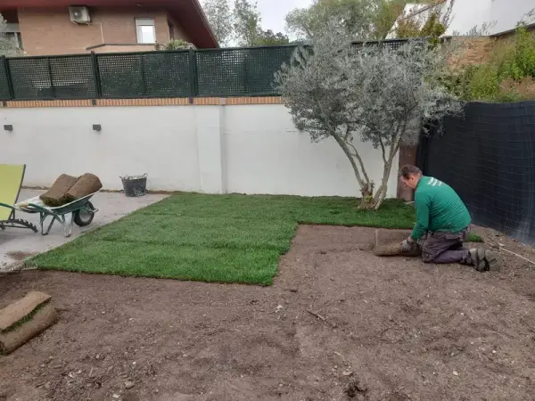 Instalación de césped y preparación de terreno en chalet