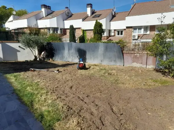 Jardín con césped natural y árboles ornamentales