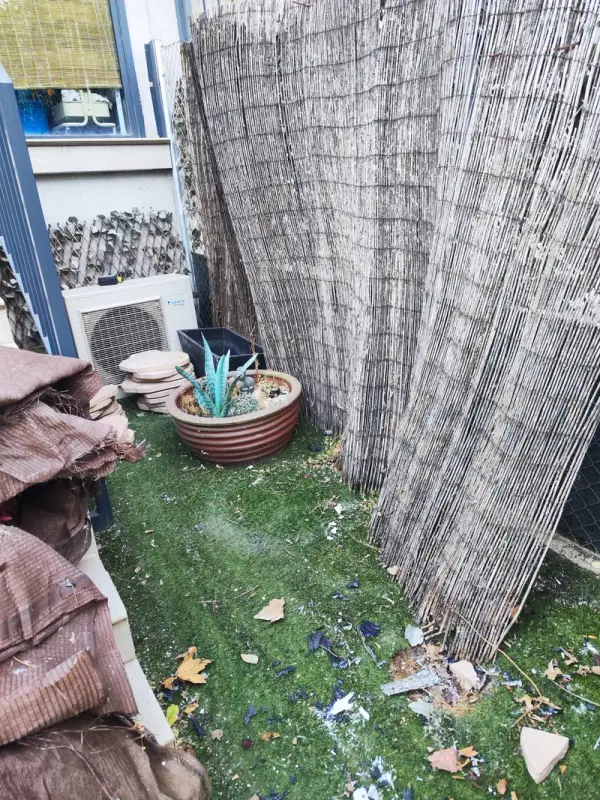 Mantenimiento integral de jardín en chalet de Madrid