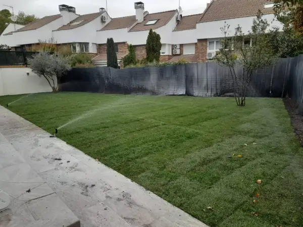 Riego por aspersión sobre césped nuevo en jardín de urbanización
