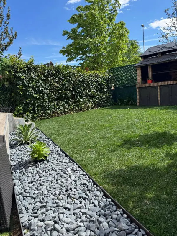 Parterre de grava gris con plantas crasas junto al césped y un seto