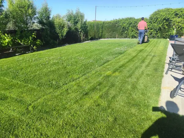 Jardinero segando una pradera de césped natural con cortacésped